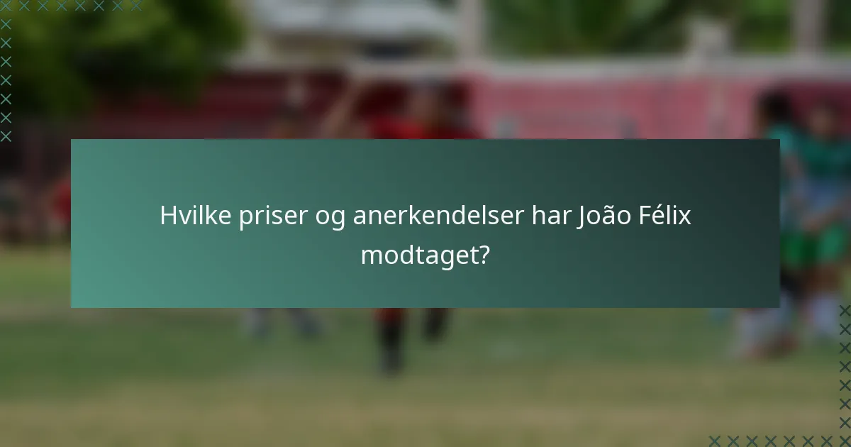 Hvilke priser og anerkendelser har João Félix modtaget?
